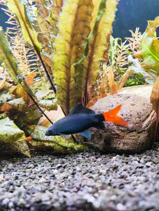 Продам аквариум 250л, травник, полный комплект