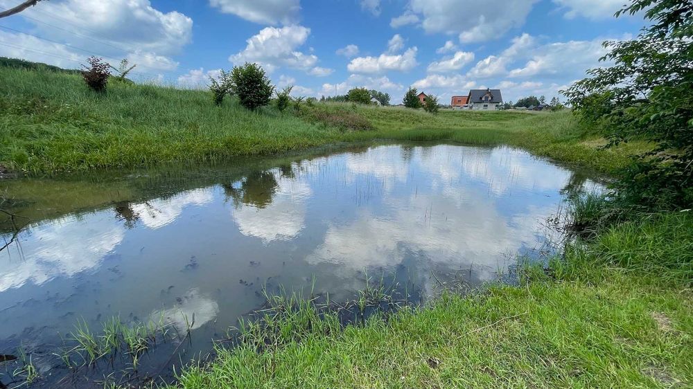 Dzierżawa / Wynajem WYJĄTKOWEJ działki ze stawem – ORZESZE UL. POWSTAŃCÓW | 10317 m2