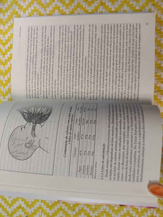 O GRANDE LIVRO DA ALIMENTAÇÃO INFANTIL
Do período pré-natal aos 5 anos