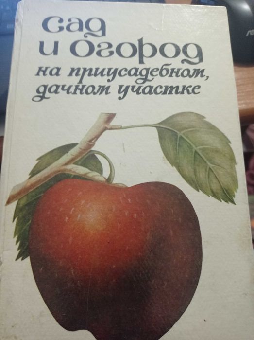 Сад и огород на приусадебном участке