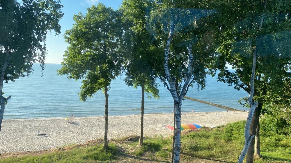 Promocje na sieepien - Domki Ewita Pobierowo 400m do plaży - Leśna 8