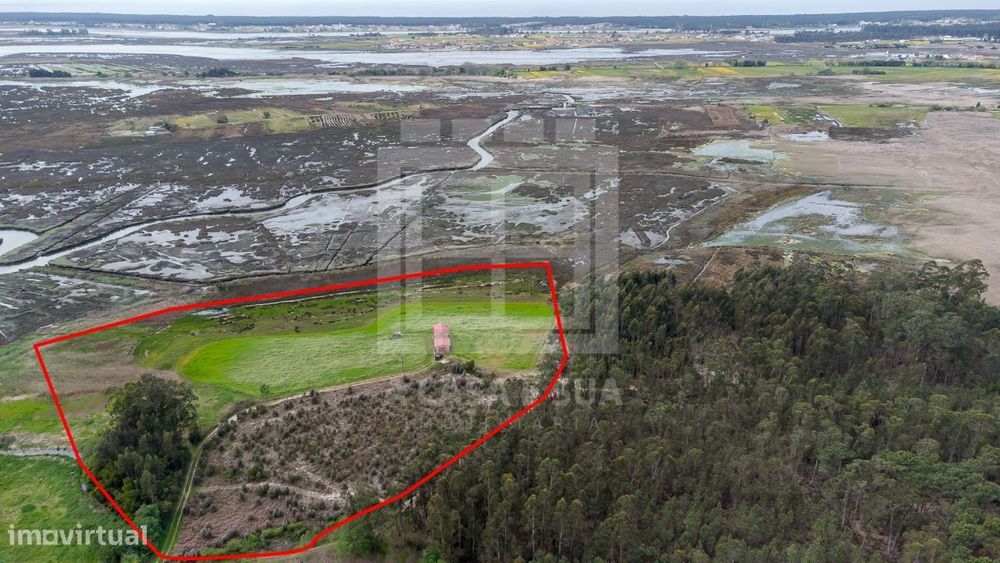 Terreno + Moradia T3 com vista para a Ria de Aveiro