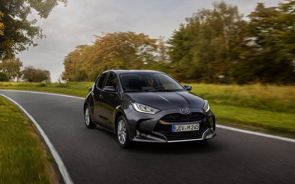 Zdjecie w galerii numer 4