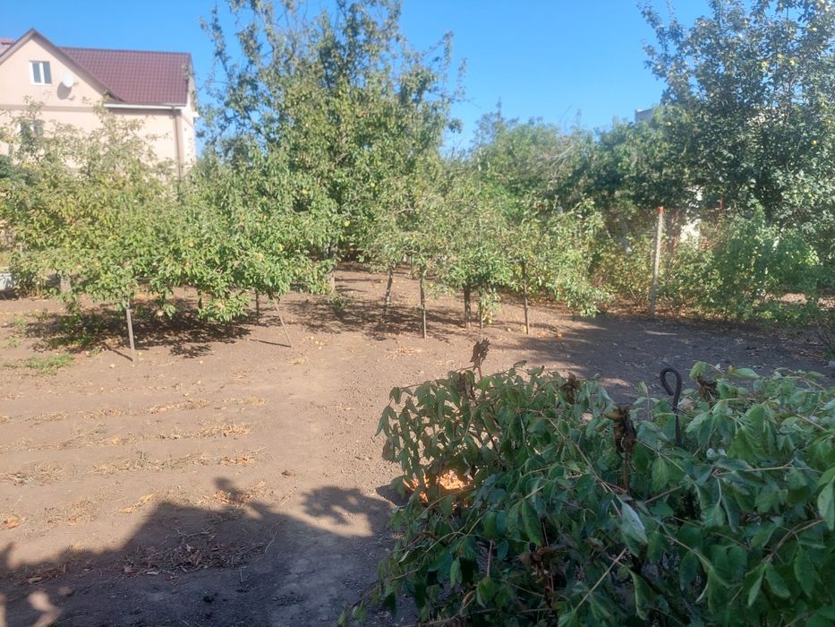 House by the address st. Primorskaya (area 50 m²) - Atlanta.ua - photo 3