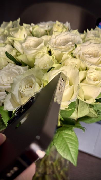 iPhone 13 Pro 256GB (Como Novo)