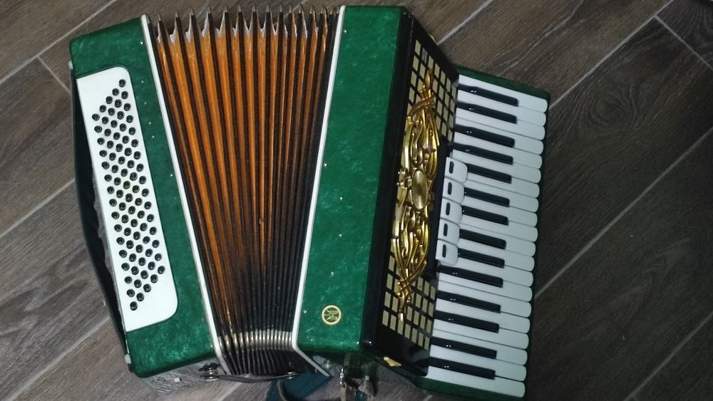 Акардеон орион зеленый