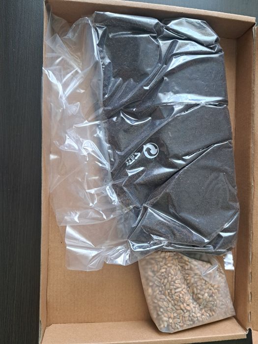 Zestaw do sadzenia trawy dla kotów