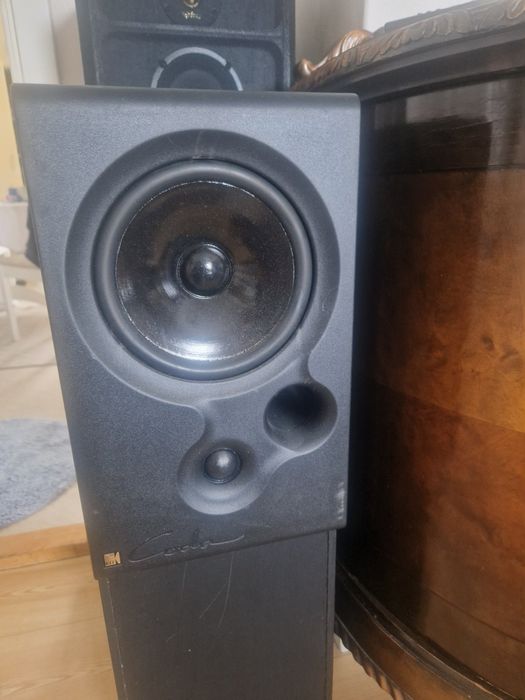 Акустика  Canton Fonum