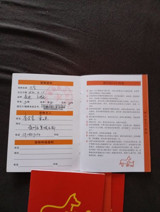 Вязка. Той пудель 1.9кг. редбраун