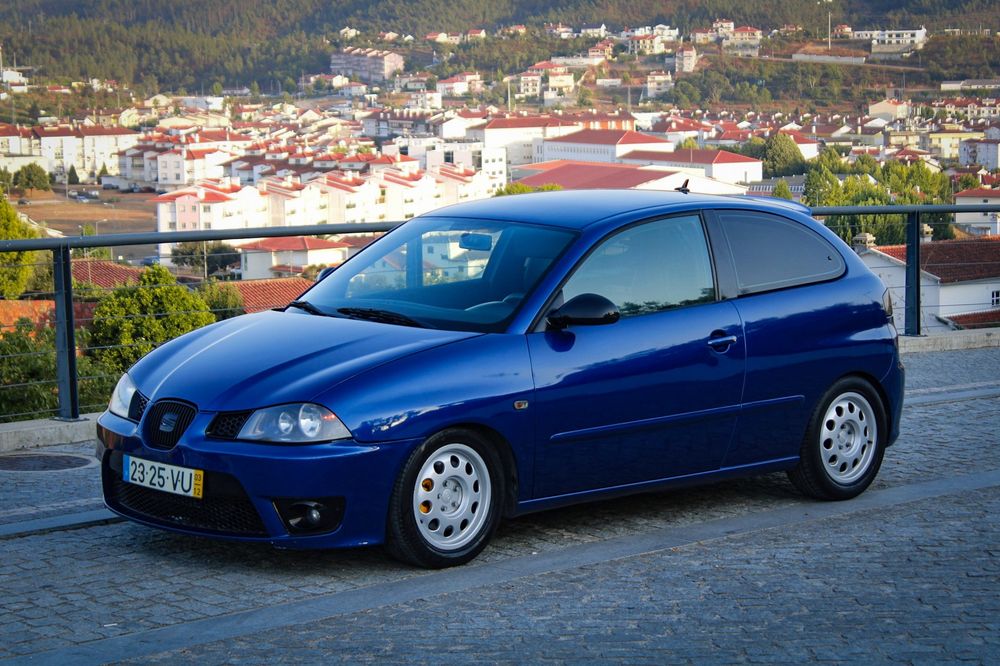 Seat Ibiza 6L PD 3xx