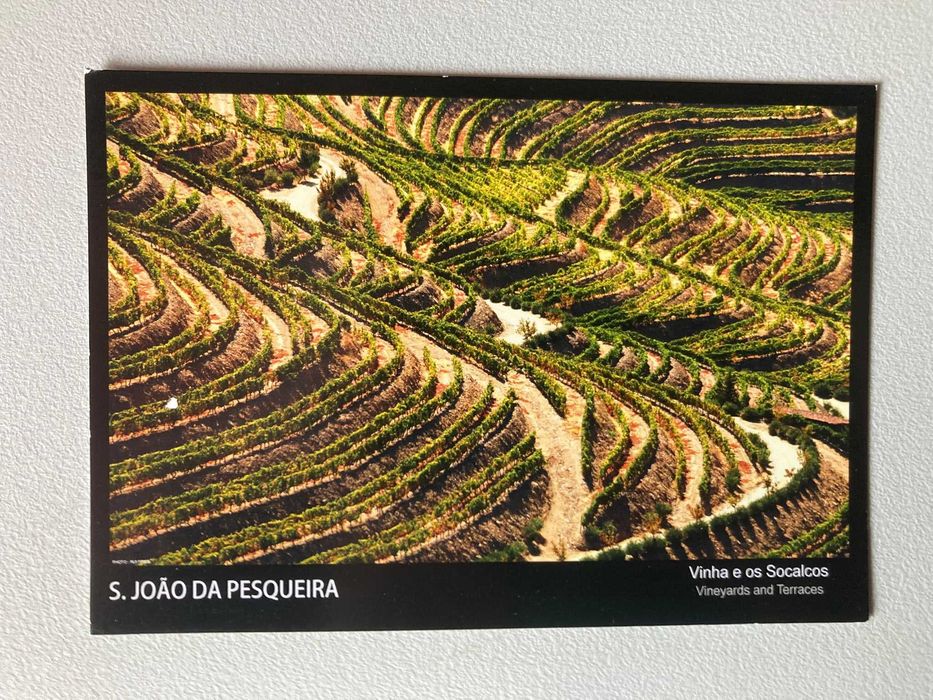 Postal S. João da Pesqueira