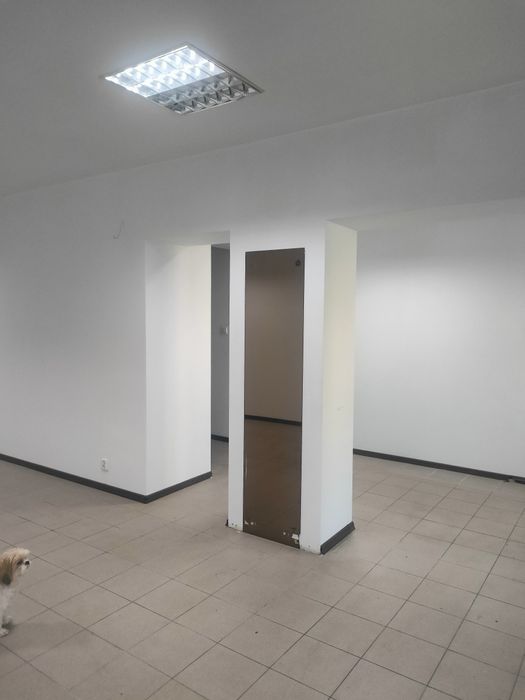 Lokal do wynajęcia