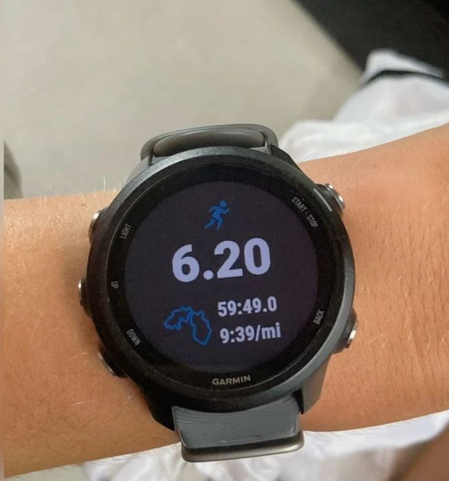Garmin Forerunner 24564585320825217120