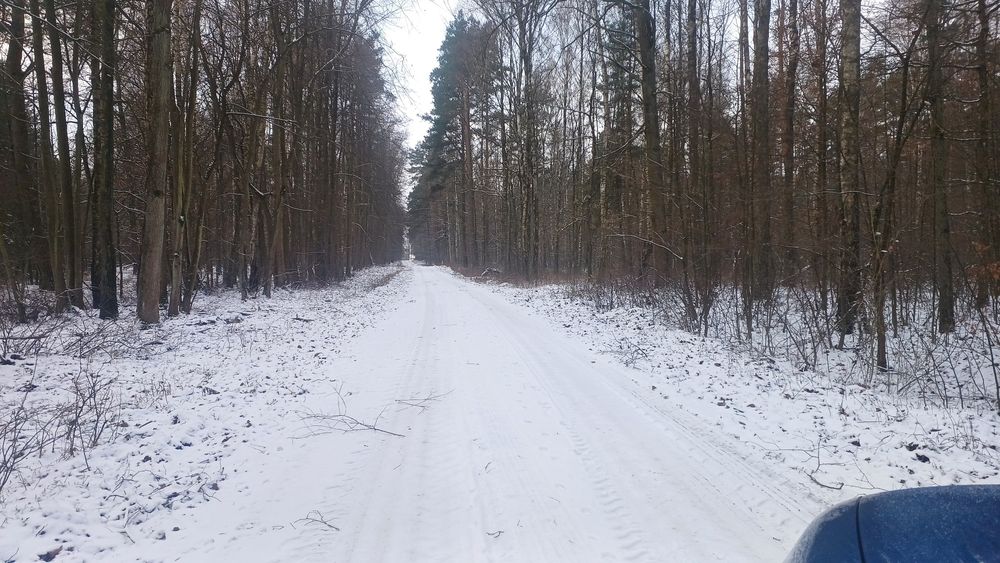 Dom w lesie, siedlisko ,dzialka