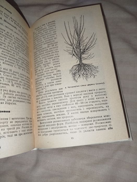 Андрієнко, Роман - Малопоширені ягідні і плодові культури