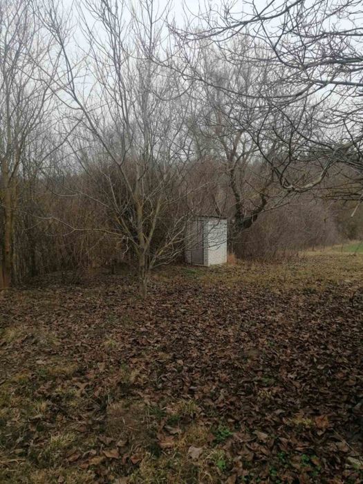 Продаж будинку та землі Богуслав с.Тептіївка.