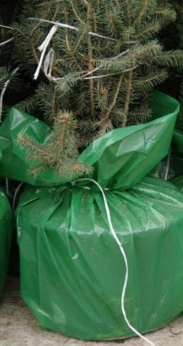 Worki foliowe na choinki