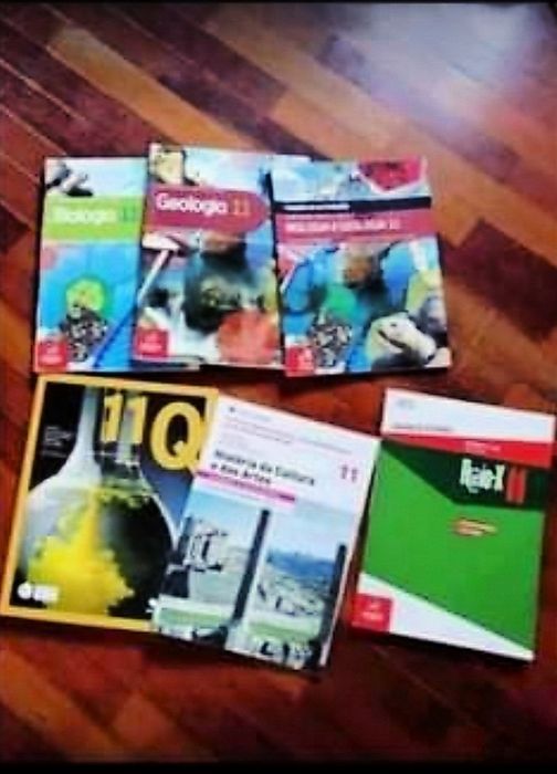 Manuais escolares para o 11 ano