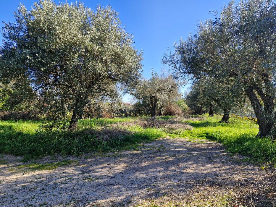 Terreno à venda em Alcaria