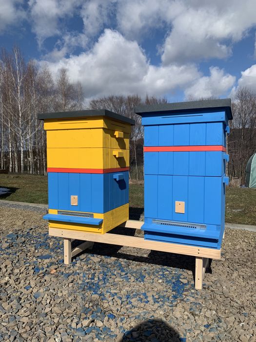 Ul wielkopolski dziesięcioramkowy