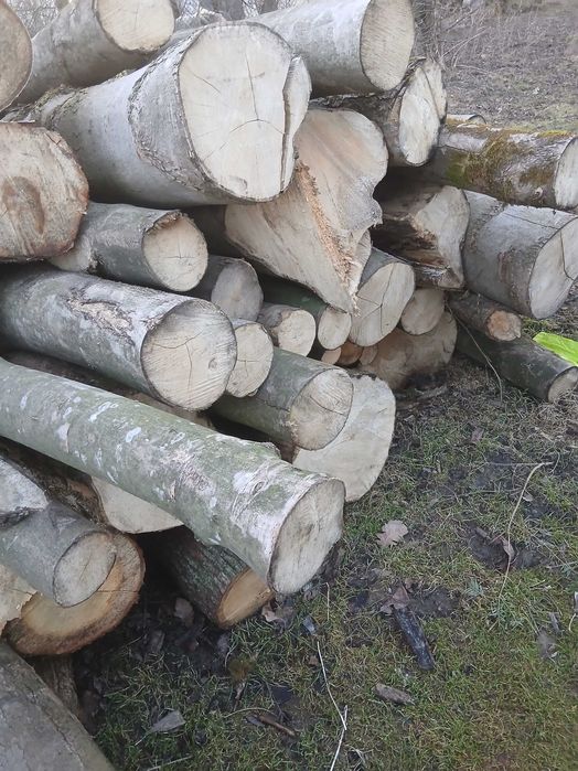 Drewno opałowe kominkowe