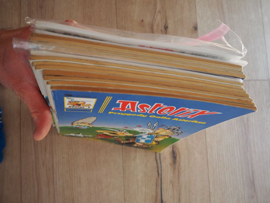Asterix i Obelix – zestaw 14 komiksów do czytania