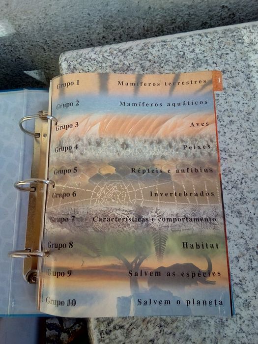 The Fantastic Animal World + Computing for Everyone from Reader's Digest Selections64730274688769124