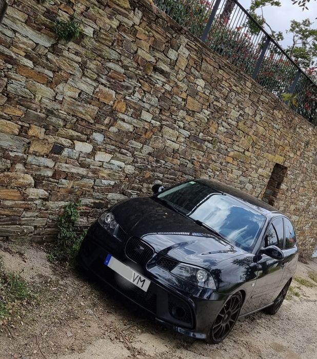 Seat Ibiza 6L 1.9 TDI PD 150