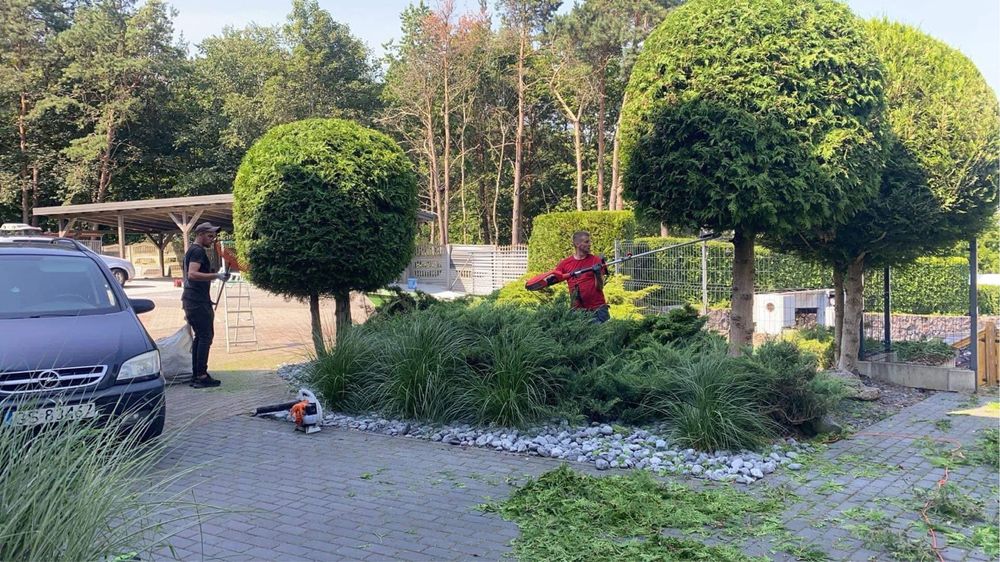 Pielegnacja zieleni i ogrodnictwo