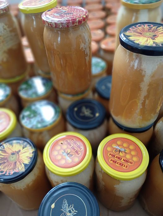Miód z własnej pasieki