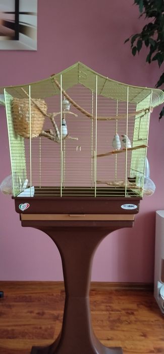 Sprzedam ptaszki z klatką