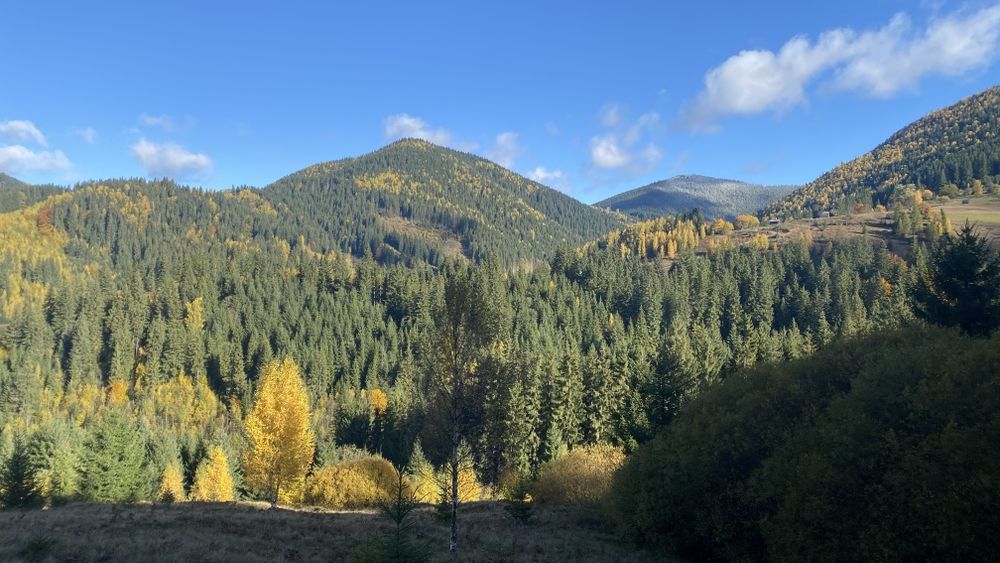 Земля під будову, межує з лісом, гарний доїзд