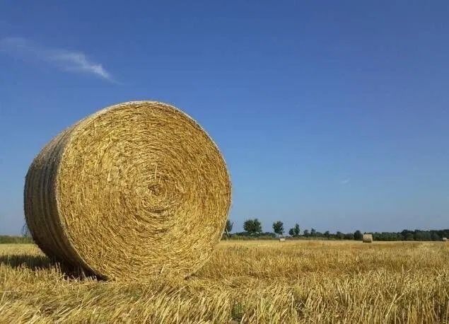 Sprzedam słomę w belach