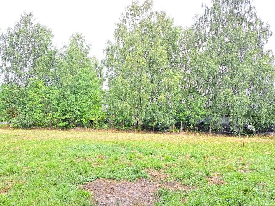 Sprzedam działkę budowlaną z własnym lasem, dla inwestora - Widok 3