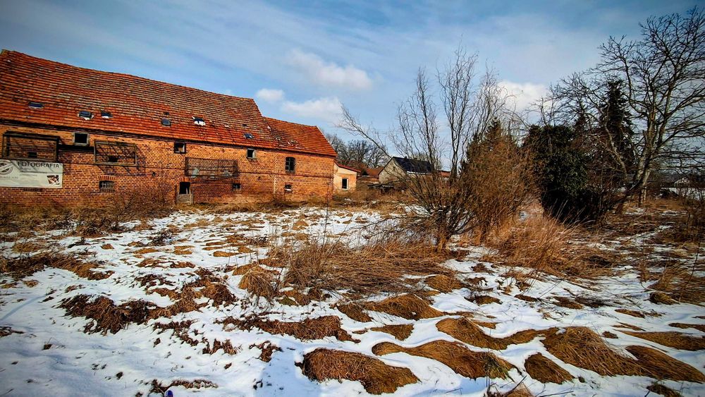 Dom na sprzedaż z budynkami gospodarczymi na dużej działce.