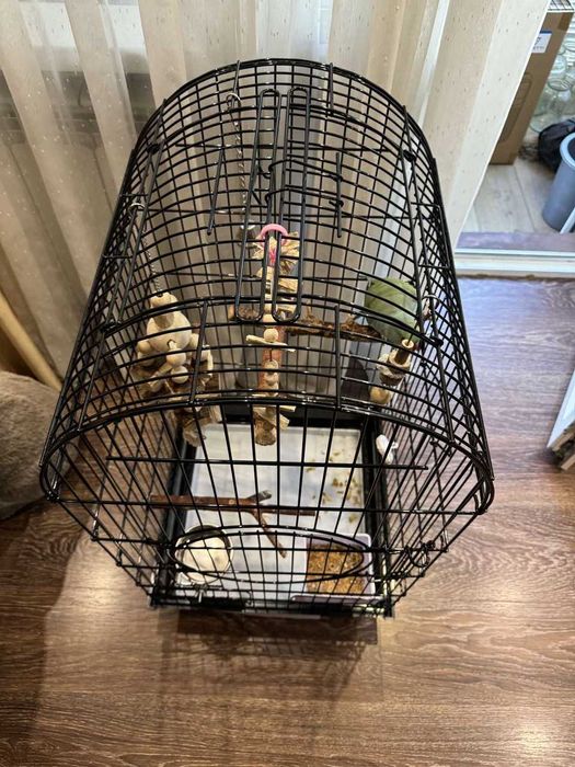 Большая  для средних попугаев,100х55х55 см, с открывающимся верхом