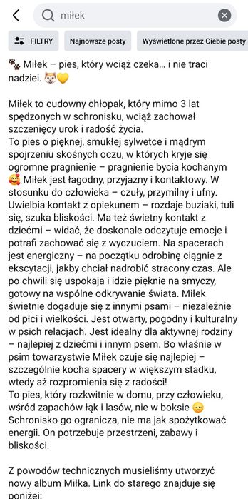Miłek prosi o uwagę Schronisko Nadzieja Napierki