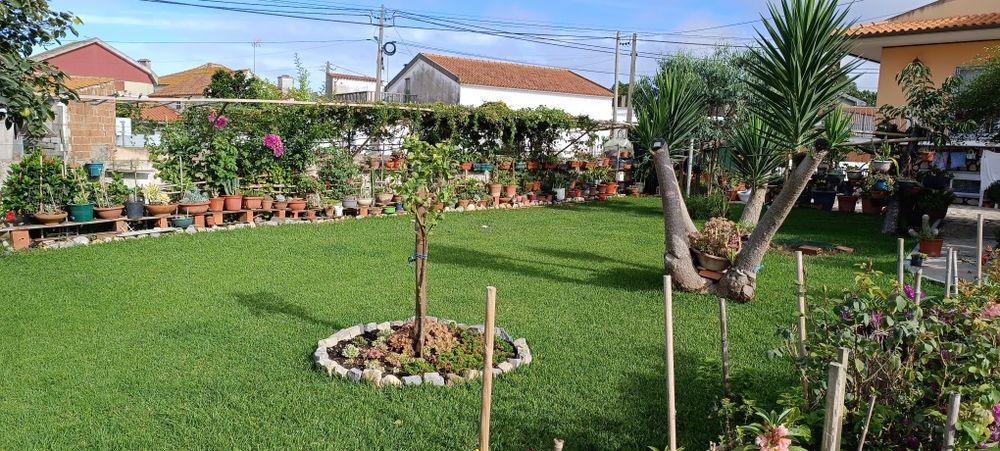 TerraFlor agora é 4 em 1, Jardim, construção e limpeza a partir 12€