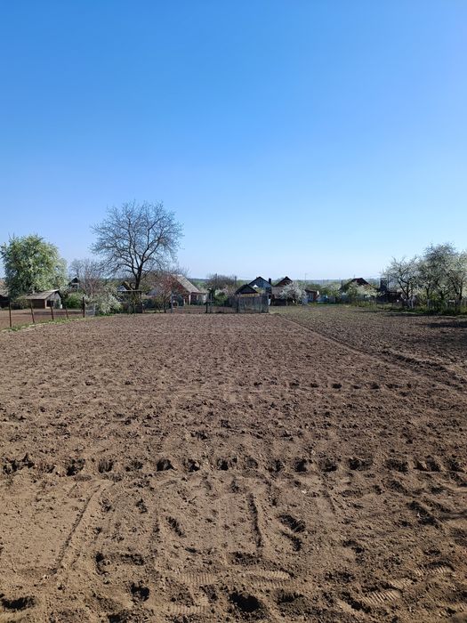 Продається ділянка в Стрижавці