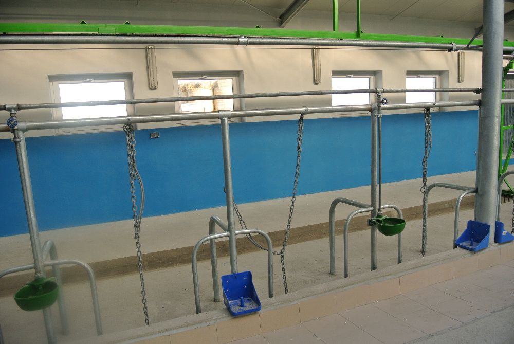 wygrodzenia dla krów bydła stanowiska drabiny przegrody ocynk