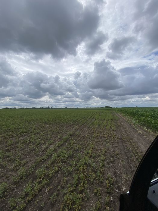 Продам земельну ділянку Обарів
