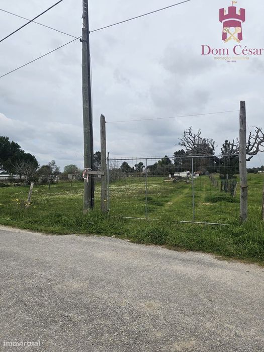 Terreno 1480 m2 - Glória do Ribatejo - Salvaterra de Magos — Glória Do Ribatejo E Granho, Santarém