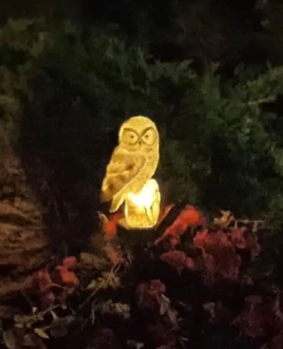Lampka solarna sowa