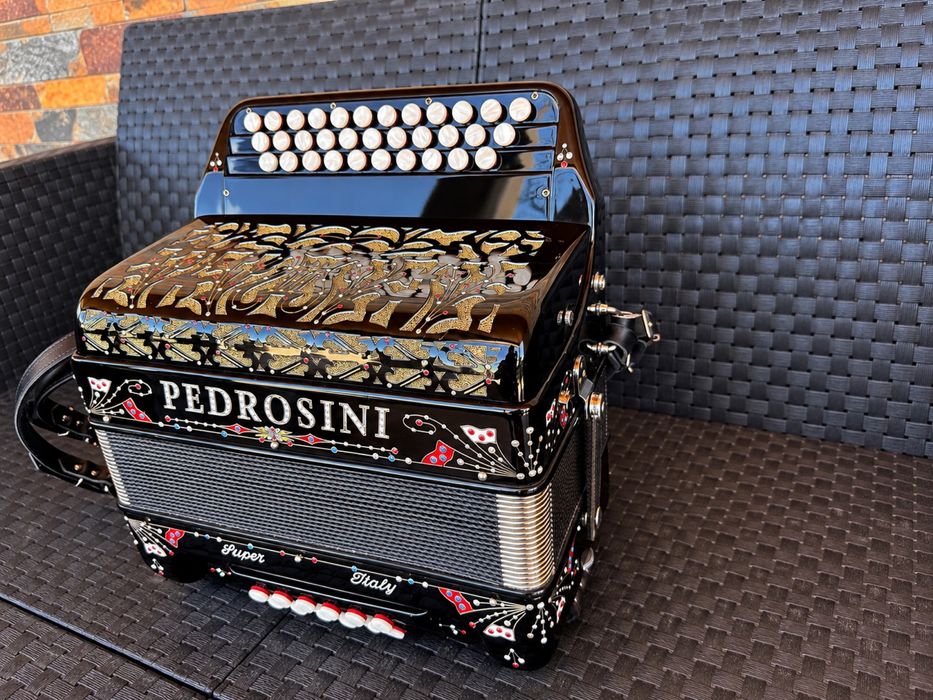 Vendo concertina Pedrosini