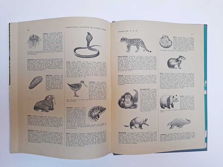 Maravilhas e Mistérios do Mundo Animal