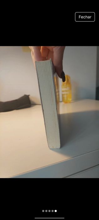 Livro: Diário de uma totó (livro 2)
