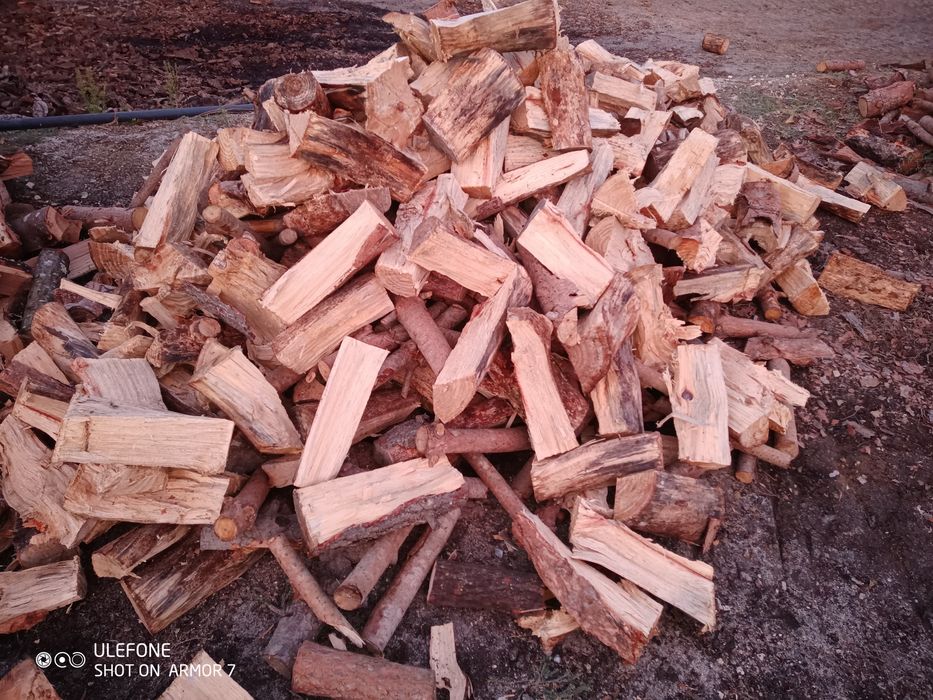 Lenha de Acácia e lenha de pinho