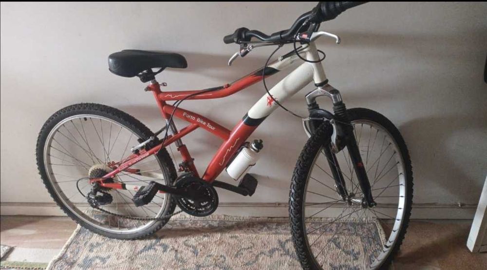 Bicicleta Adulto