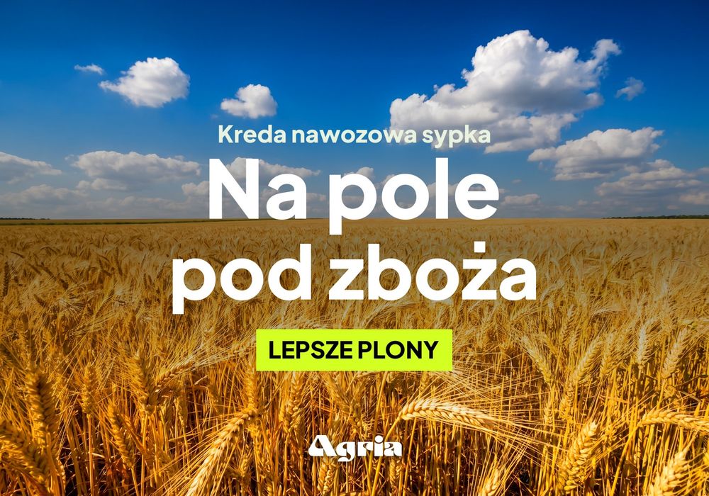Kreda nawozowa luzem pod zboża — wapno nawozowe węglanowe sypkie, łagodne odkwaszanie bez ryzyka przewapnowania, dostawa 24 t, atest OSChR