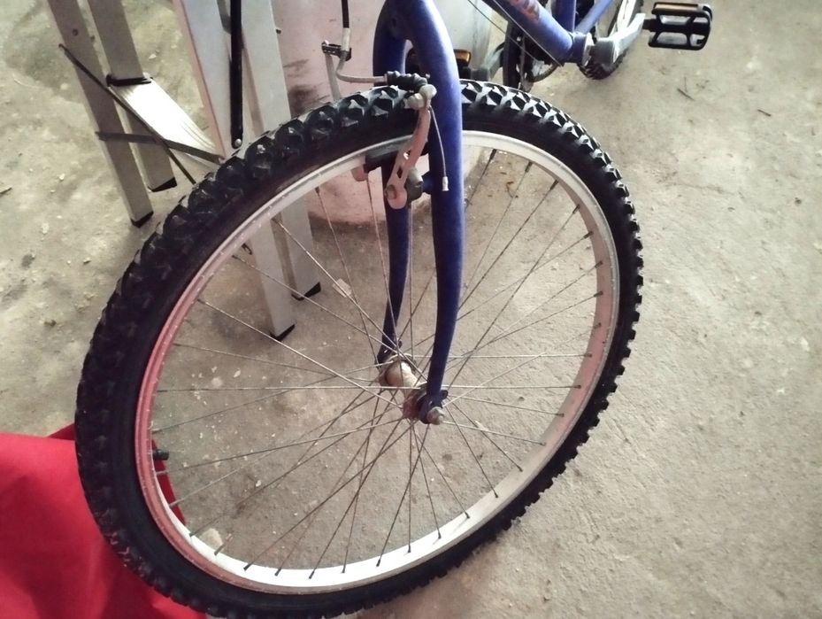 Bicicleta Cavia Deluxe MTB